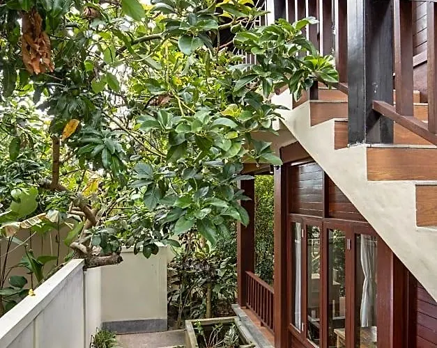 Secluded Jungle