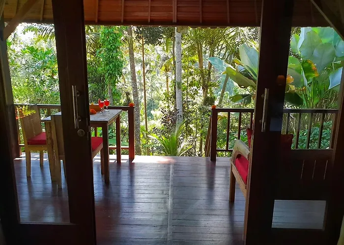 Secluded Jungle