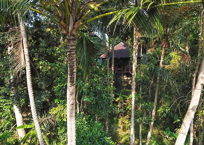 Secluded Jungle 3* ウブド