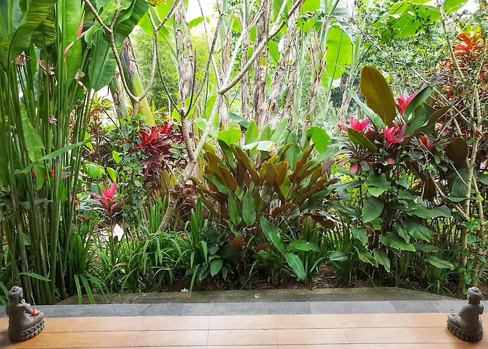 Secluded Jungle 3*
